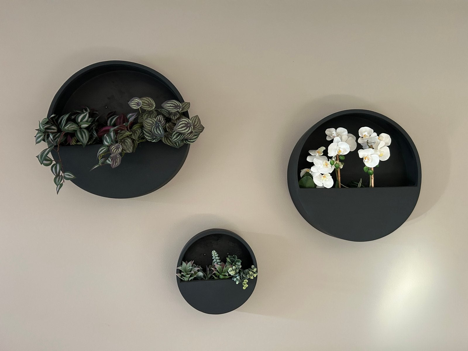 3 muur Wally’s voor je planten aan de wand, Ophalen, Zo goed als nieuw