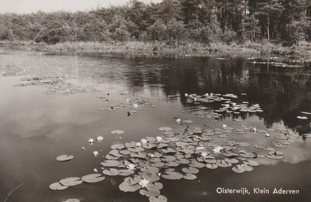 D167 ansichtkaart klein oisterwijk klein aderven z/w vijver, Ophalen of Verzenden, 1940 tot 1960, Ongelopen, Noord-Brabant