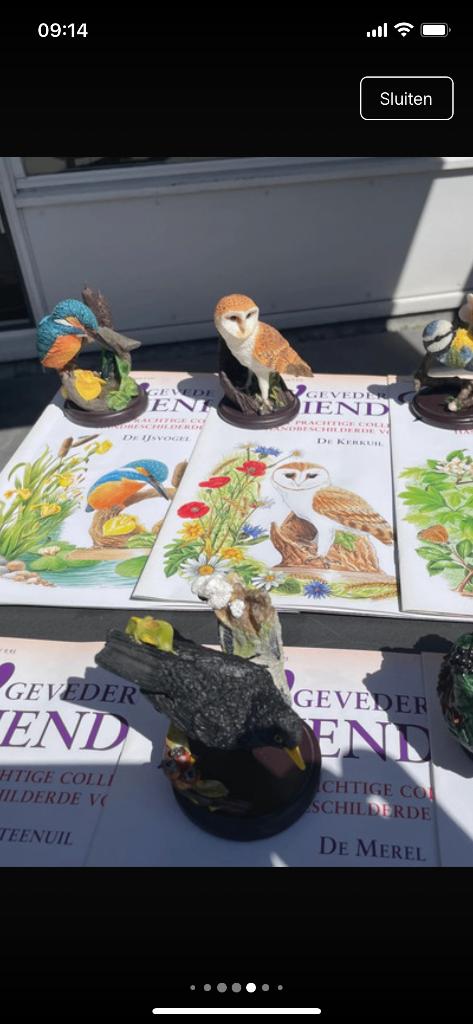 Vogel beeldjes, Ophalen, Nieuw, Dier