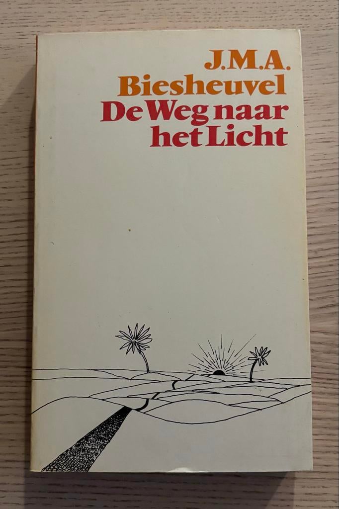 J.M.A. Biesheuvel - De Weg naar het Licht (1977), Ophalen of Verzenden, Gelezen, Nederland