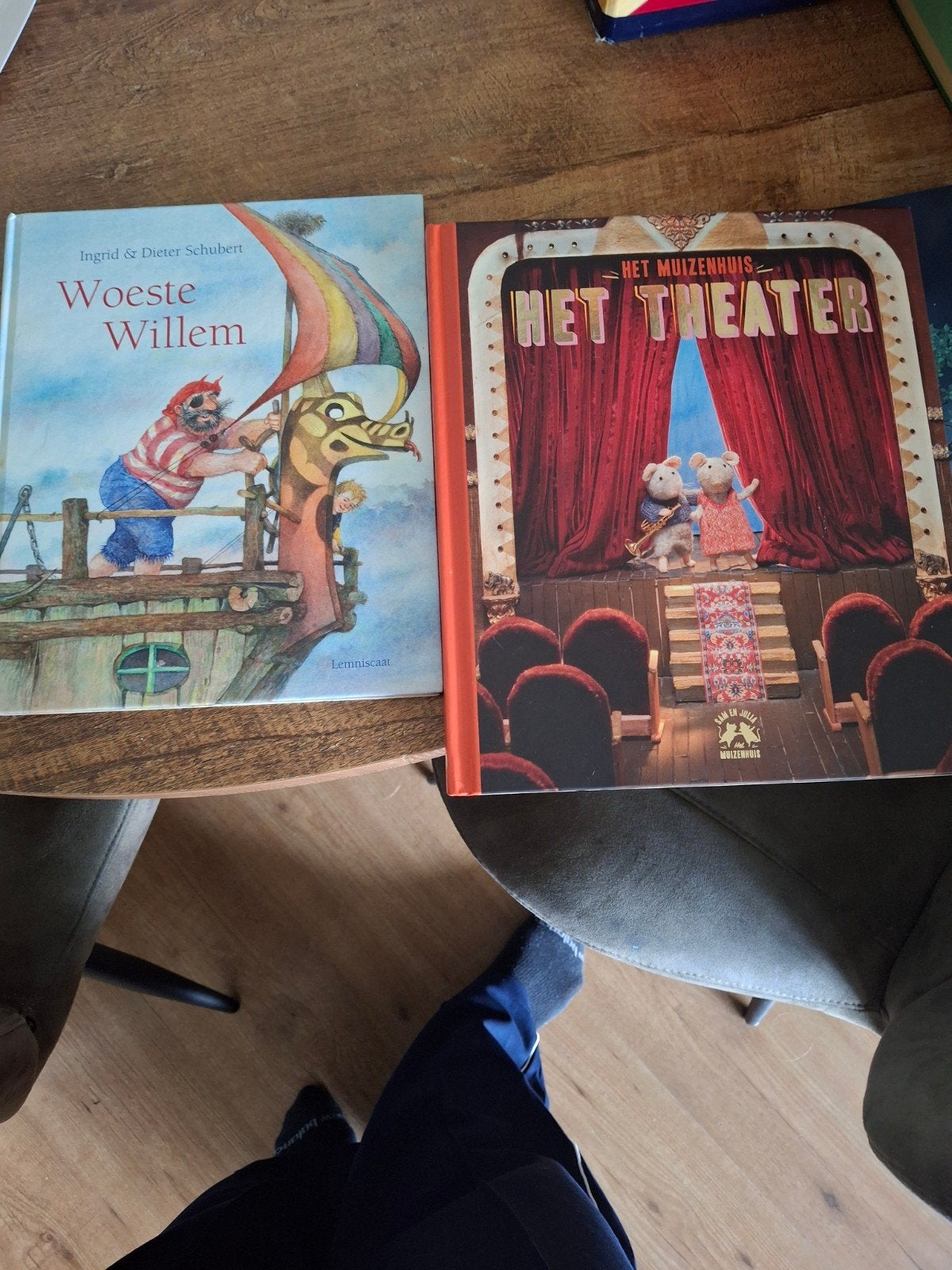 Kinderboeken: Woeste Willem & Het Muizenhuis Het Theater, Ophalen of Verzenden, Zo goed als nieuw, Ingrid & Dieter Schubert, Karina Schaapman