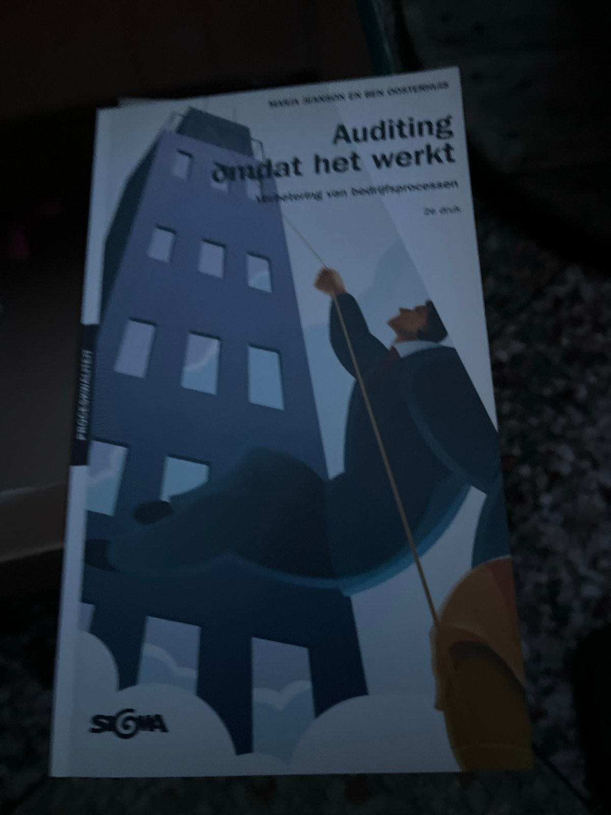Auditing omdat het werkt - Verbetering van bedrijfsprocessen, Ophalen of Verzenden, Gamma, Zo goed als nieuw, HBO