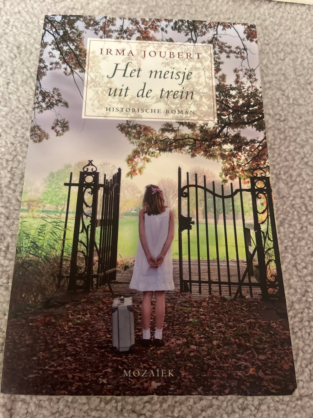 Het meisje uit de trein - Irma Joubert (Historische roman), Boeken, Ophalen of Verzenden, Gelezen