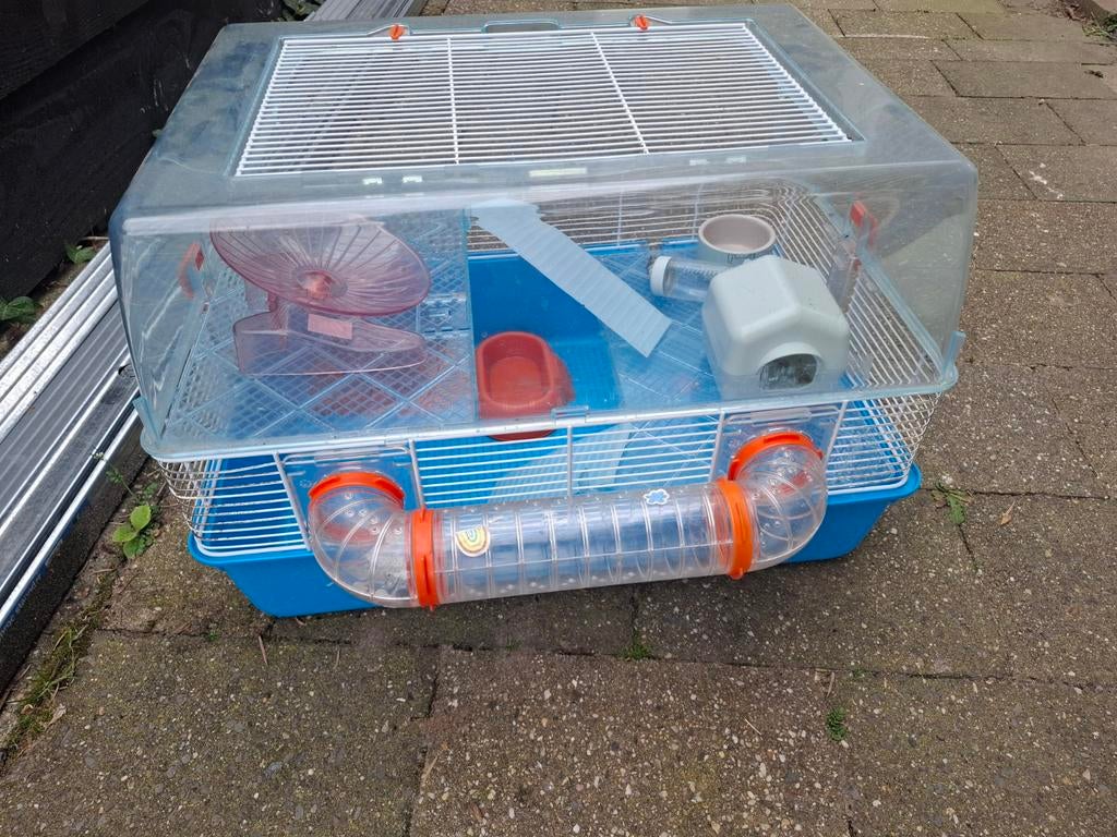 Hamsterkooi  gebruikte staat kan nog een ronde mee, Kooi, Gebruikt, Minder dan 75 cm, Hamster