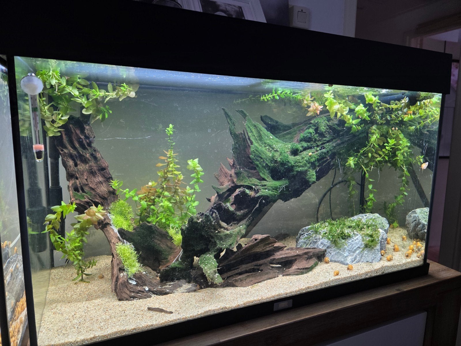 Aquarium juwel rio 125, Ophalen, Gebruikt, Leeg aquarium, Juwel