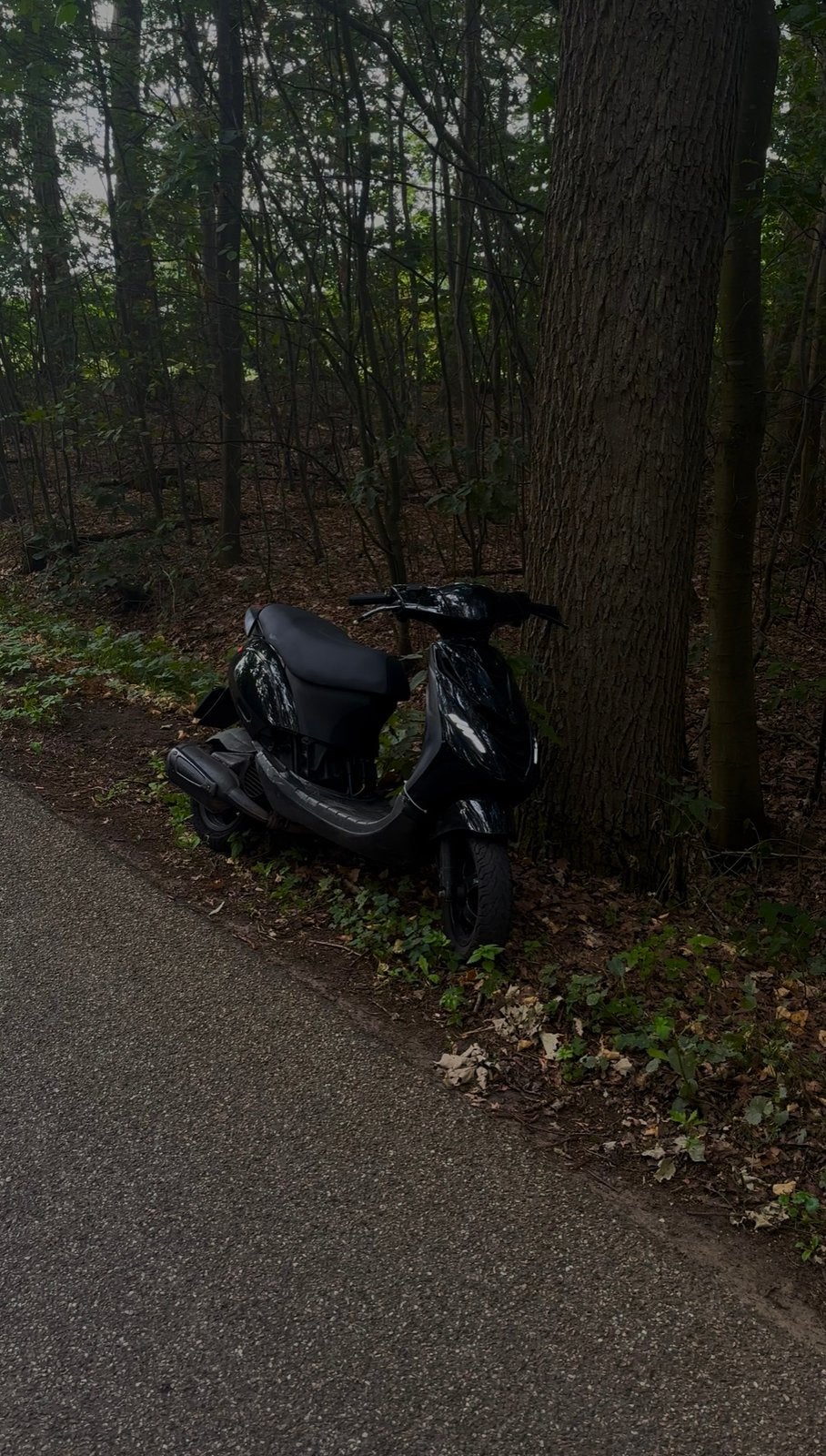 Zip 172cc op brom, Ophalen, Zo goed als nieuw, Tweetakt, Piaggio