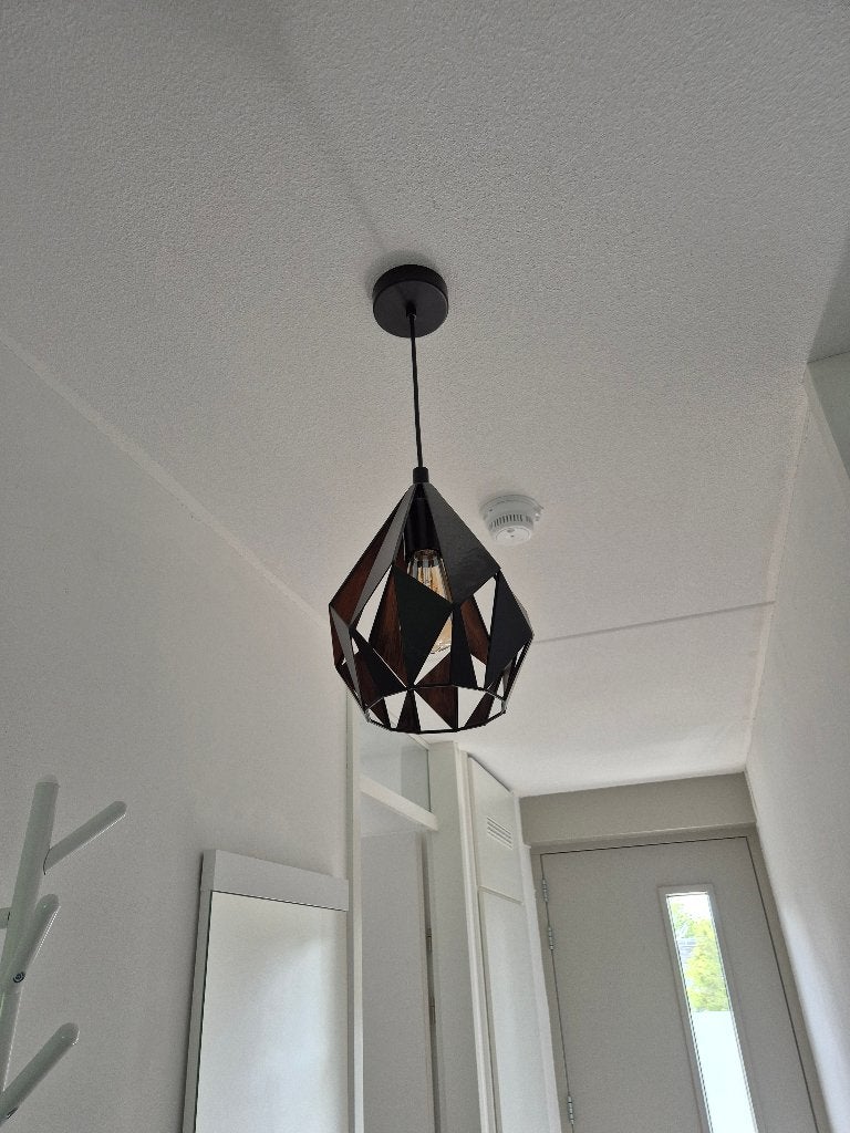 EGLO Carlton 1 Hanglamp - Dimbaar E27 - Ø 20,5 cm, Huis en Inrichting, Ophalen, Zo goed als nieuw, E27 (groot)