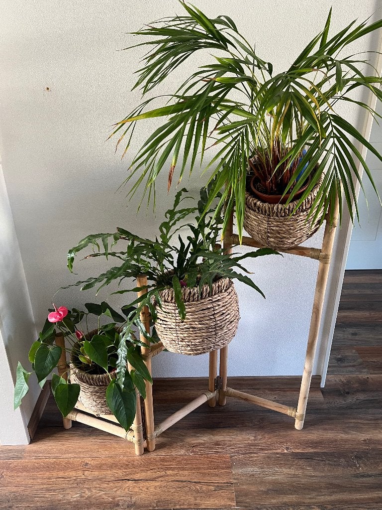 Plantenrek, Ophalen, Meerkleurig, Overige materialen, Overige stijlen