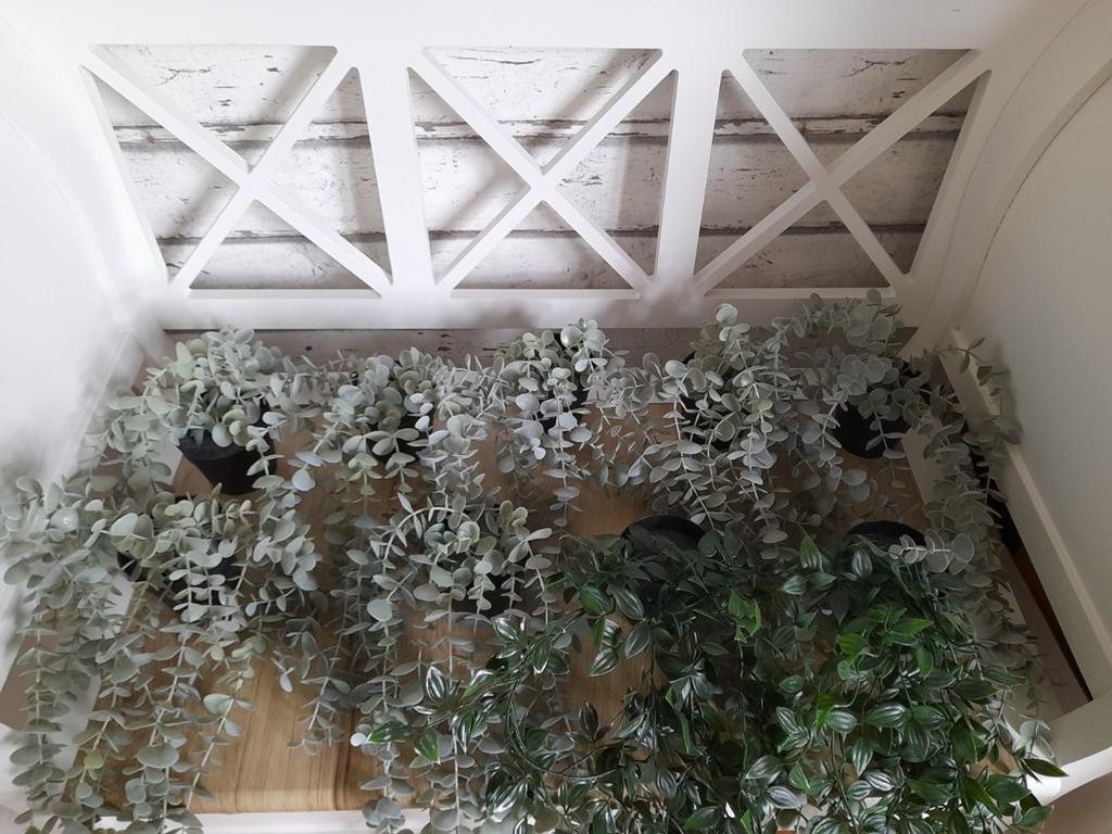 Doosje met (ikea) hangplantjes 2 soorten, Verzenden, Binnen