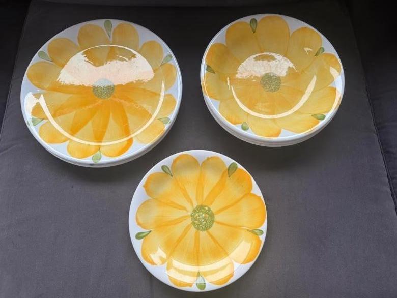 Vintage servies Ironstone - Giovanni Valdarno, Huis en Inrichting, Gebruikt, Ophalen of Verzenden, Bord(en), Overige stijlen