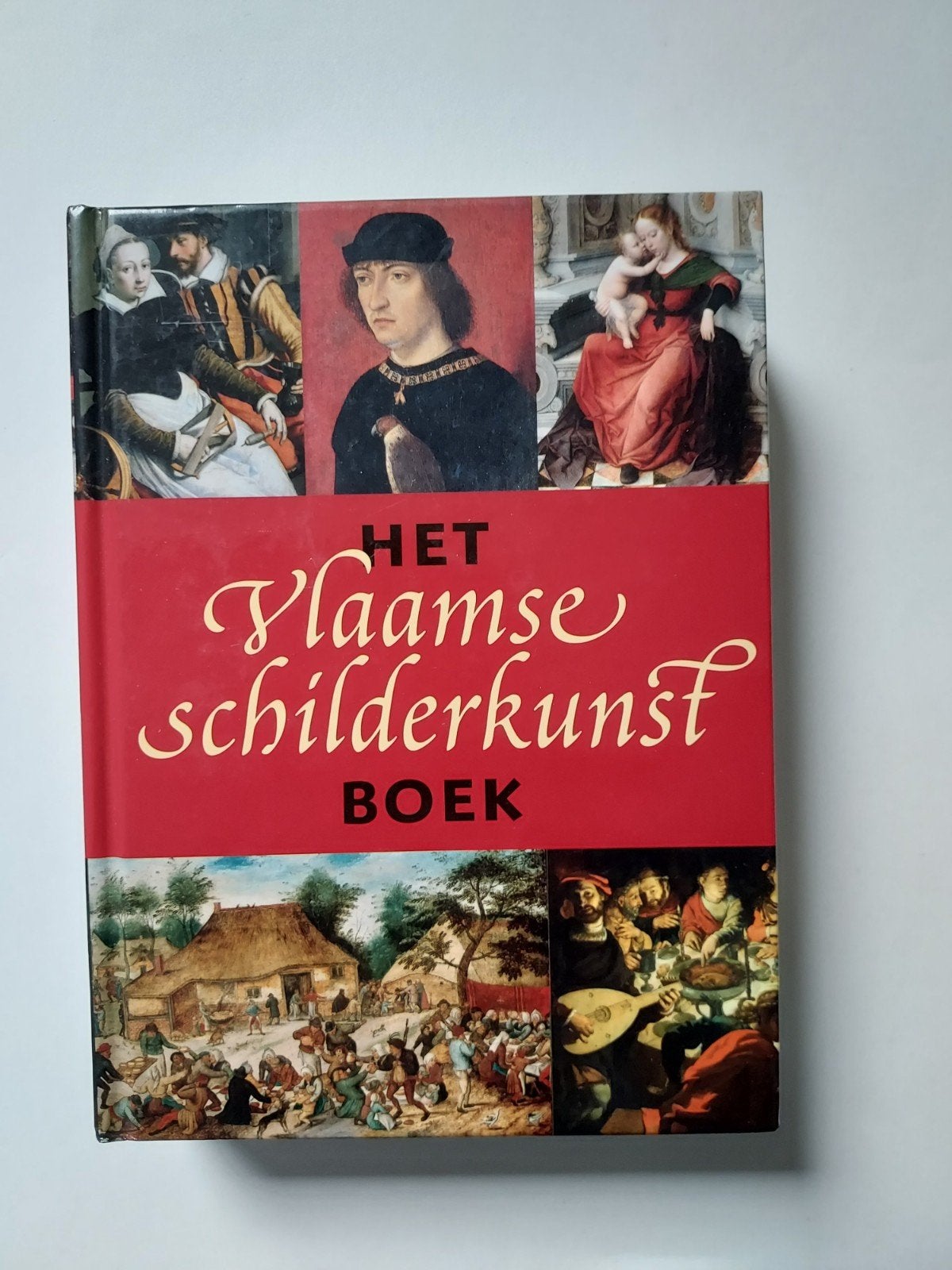 Het Vlaamse Schilderkunstboek - Waanders Uitgevers, Ophalen of Verzenden, Zo goed als nieuw, Schilder- en Tekenkunst, Onbekend