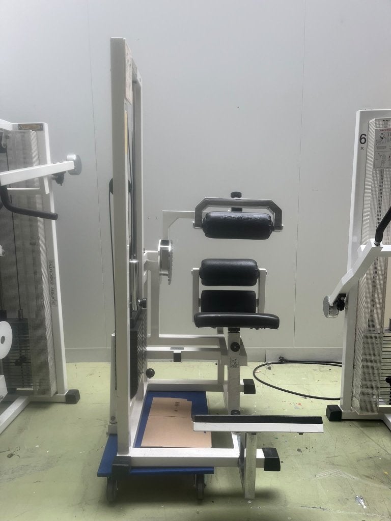TECHNOGYM - LOWER BACK R.O.M., Sport en Fitness, Ophalen, Gebruikt, Buik, Overige typen