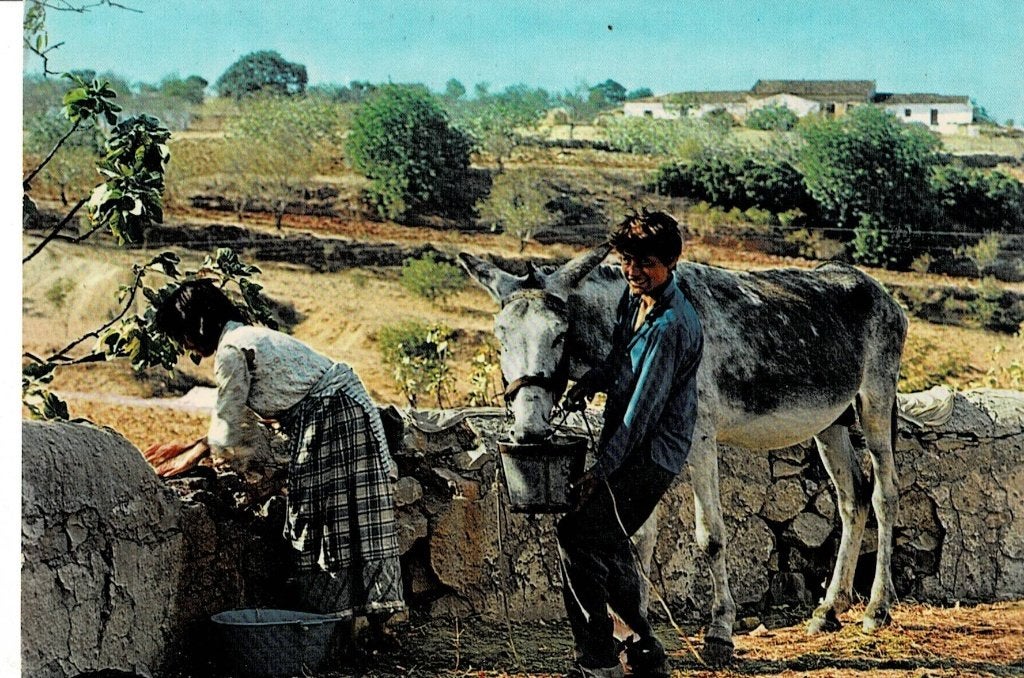 Algarve - Portugal, Ophalen of Verzenden, 1960 tot 1980, Ongelopen, Overig Europa