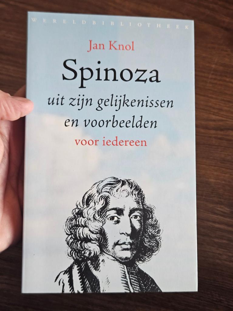 Jan Knol - Spinoza, Ophalen of Verzenden, Zo goed als nieuw, Jan Knol