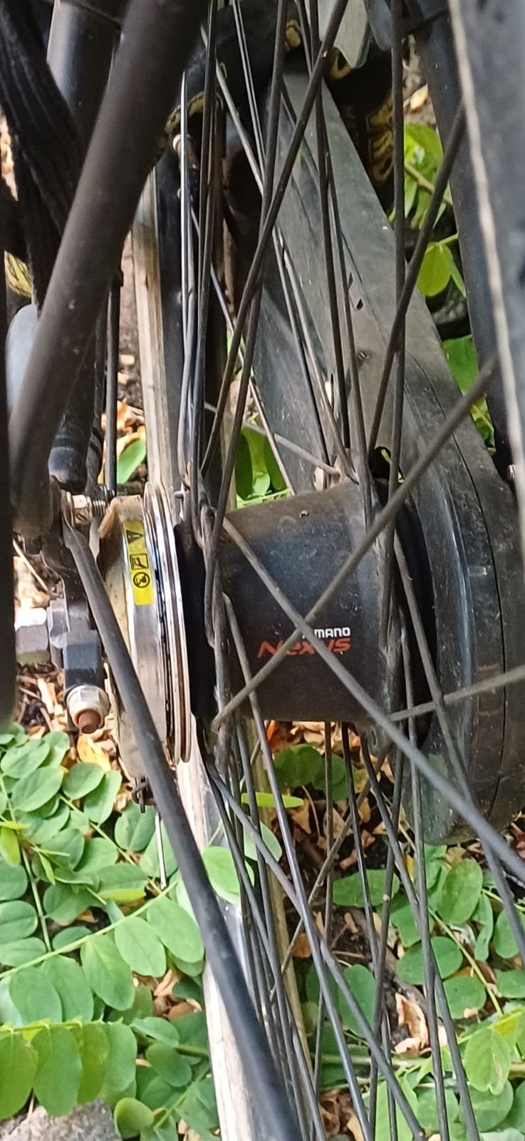 Gazelle Bloom damesfiets met kinderzitje maat 57, Fietsen en Brommers, Fietsen | Dames | Damesfietsen, Gebruikt, Versnellingen