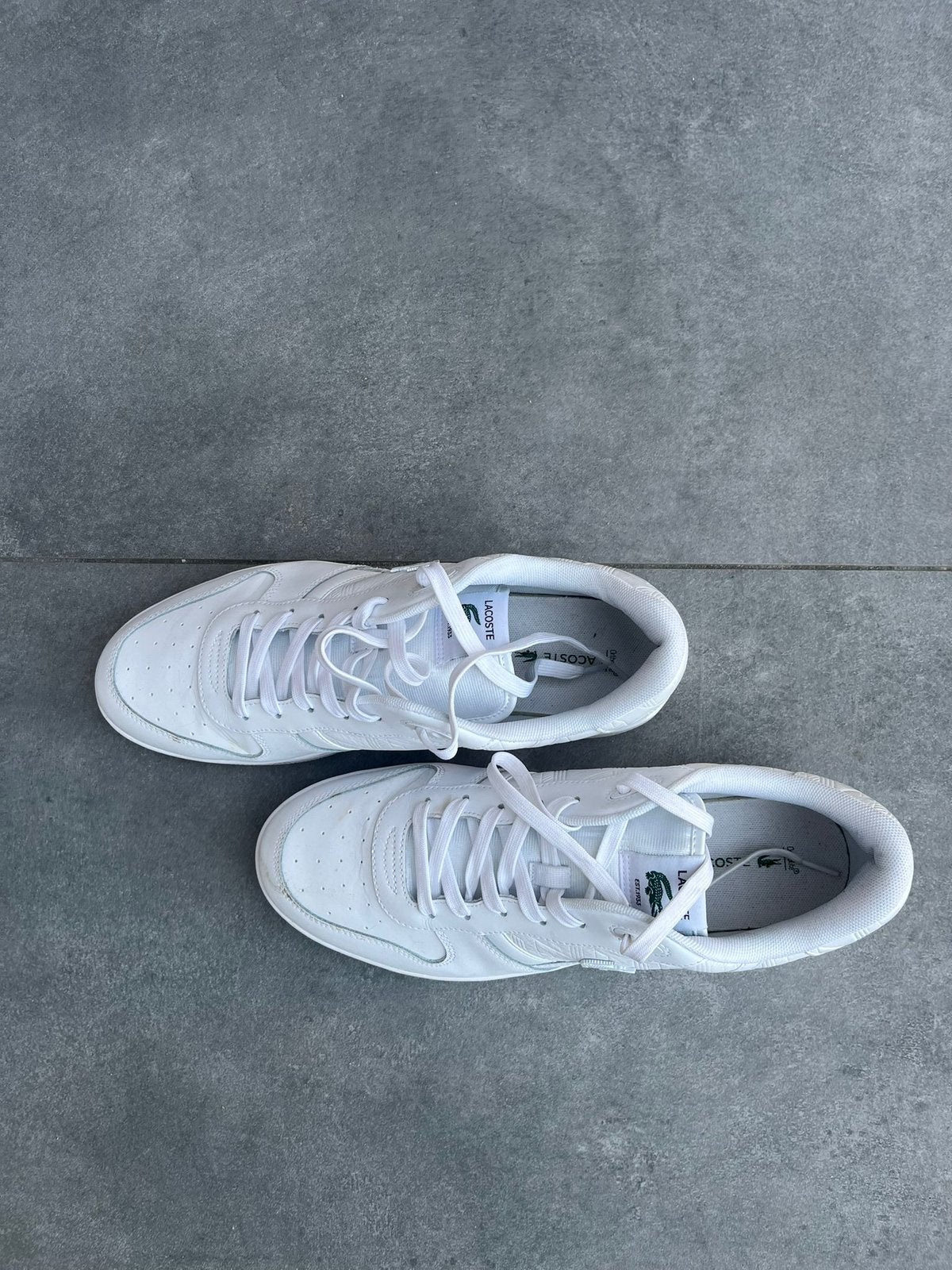 Lacoste sneakers maat 47 nog geen maand oud!, Kleding | Heren, Schoenen, Wit, Nieuw, Ophalen of Verzenden, Sneakers of Gympen