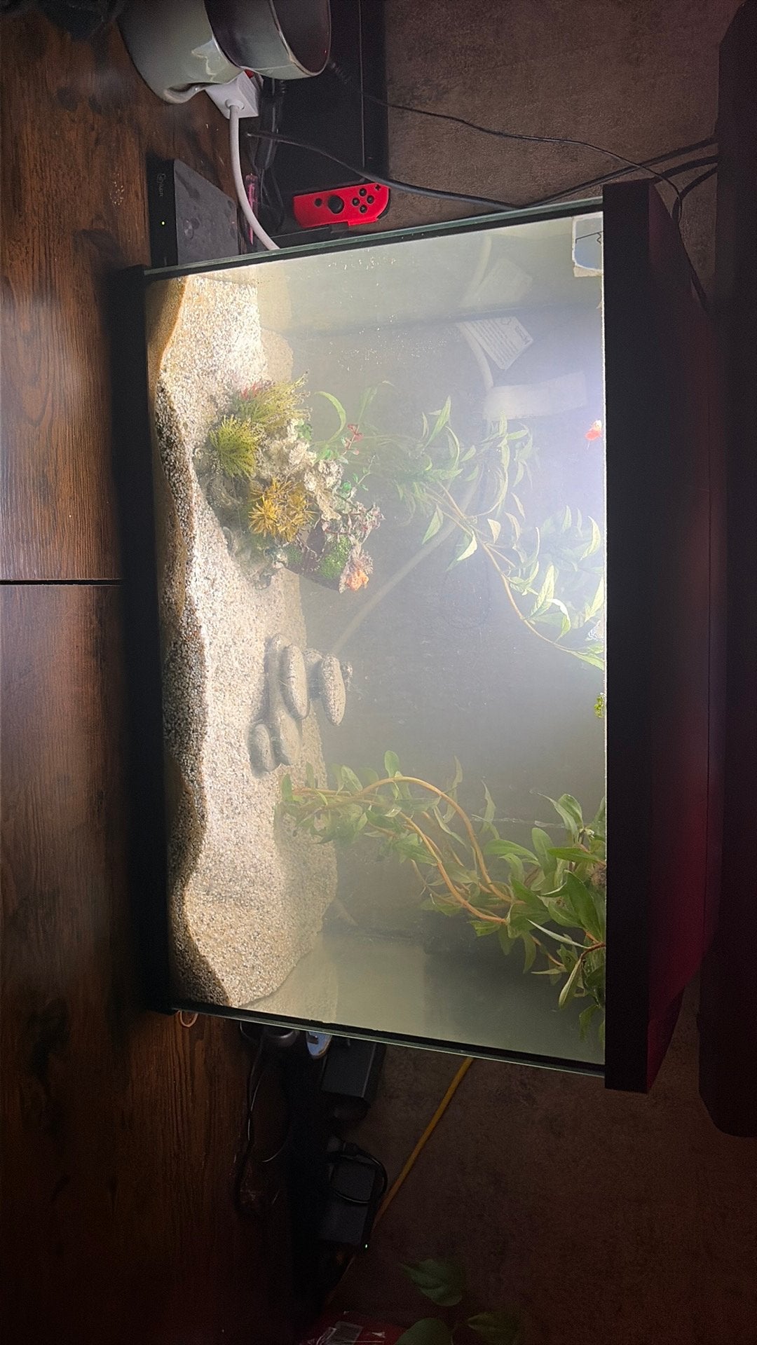 Aquarium, Ophalen, Inclusief deksel, Leeg aquarium, Superfish