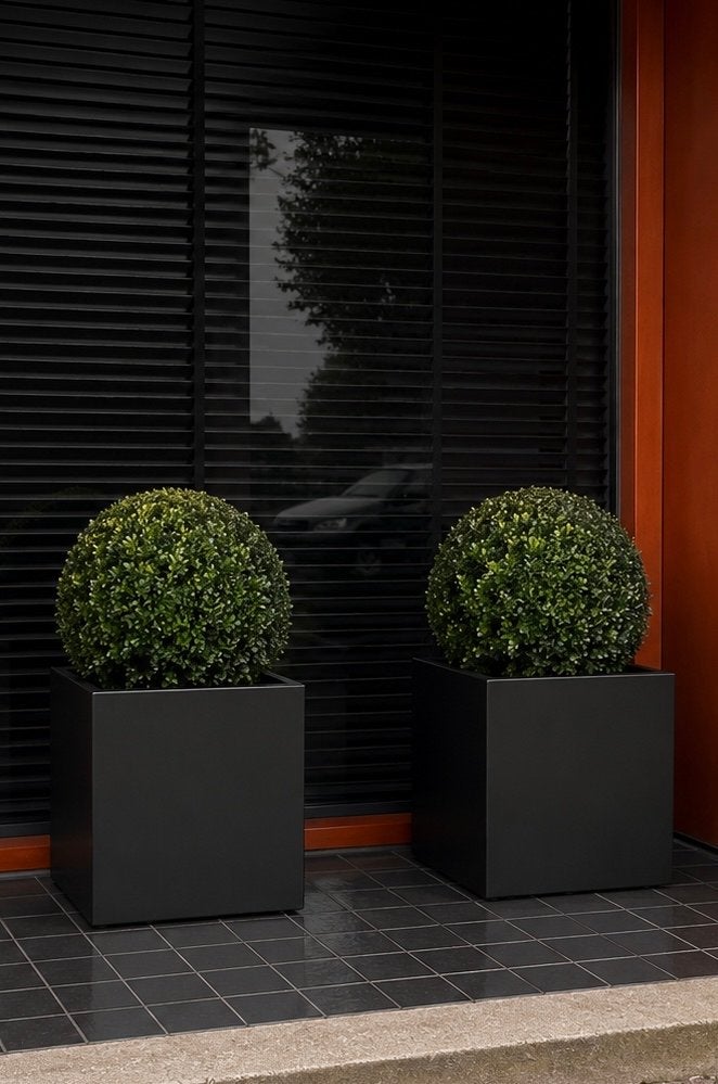 2 Groene Buxus Bollen 35 cm - Luxe Uitstraling, Kunststof, Minder dan 60 cm, Rond, Nieuw