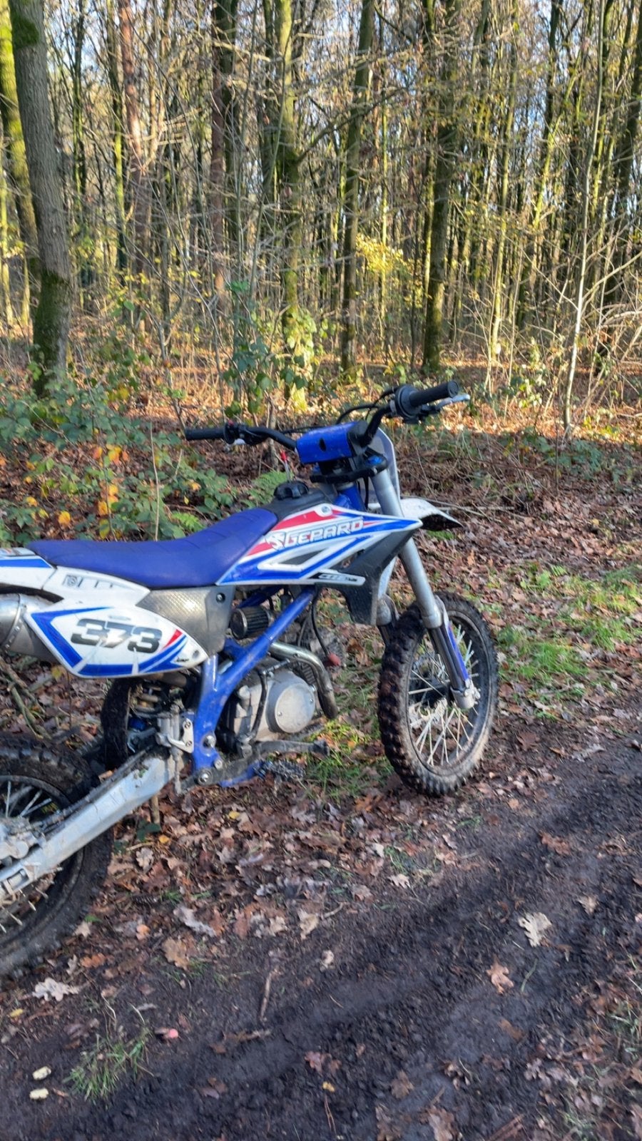 Pitbike 125cc loopt niet!!!, Gebruikt, 125 cc, Ophalen, Overige merken