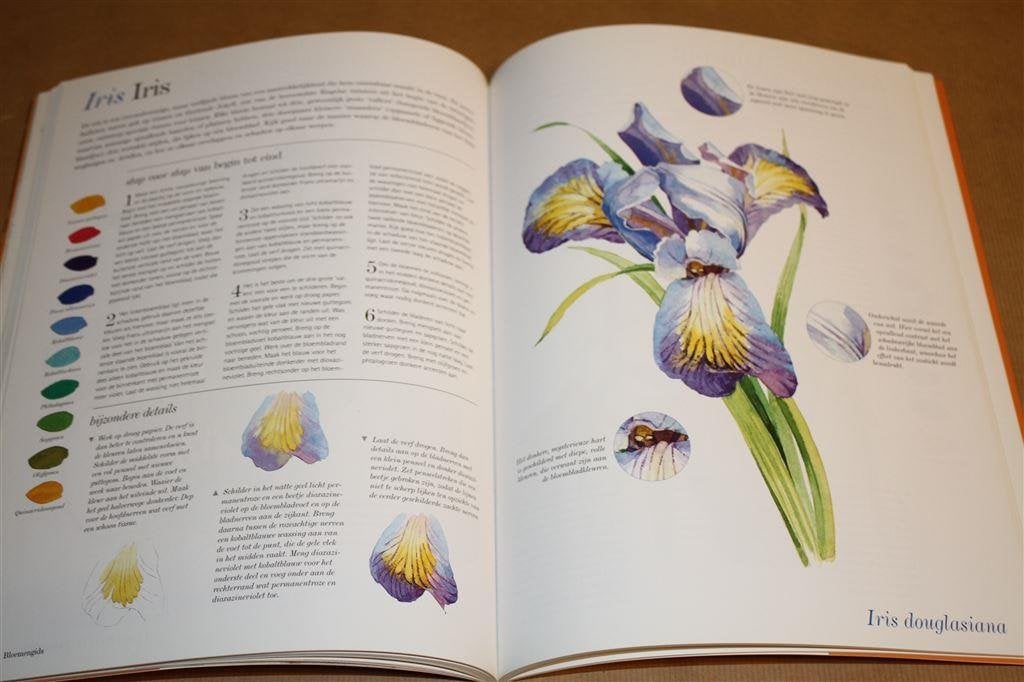 Bloemen aquarelleren. Instructies voor 50 populaire bloemen., Boeken, Ophalen of Verzenden, Gelezen, Overige onderwerpen