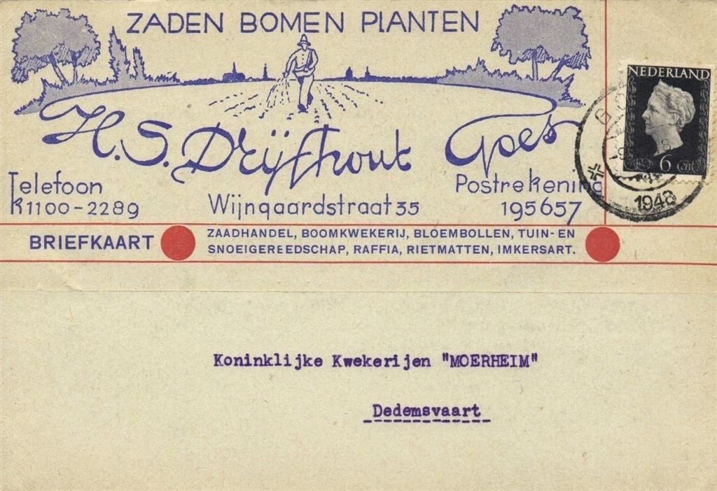 H.S. Drijfhout, Goes - 07.1948 - briefkaart, Postzegels en Munten, Ophalen of Verzenden, Briefkaart