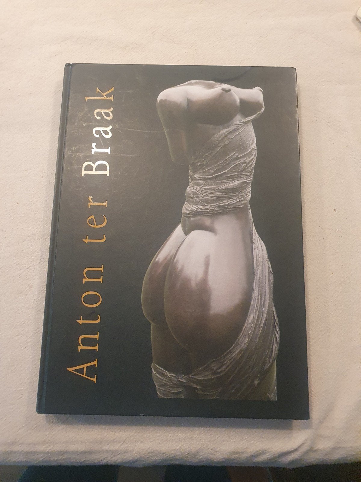 Kunstboek / Monografie Anton ter Braak – gesigneerd, Ophalen, Zo goed als nieuw