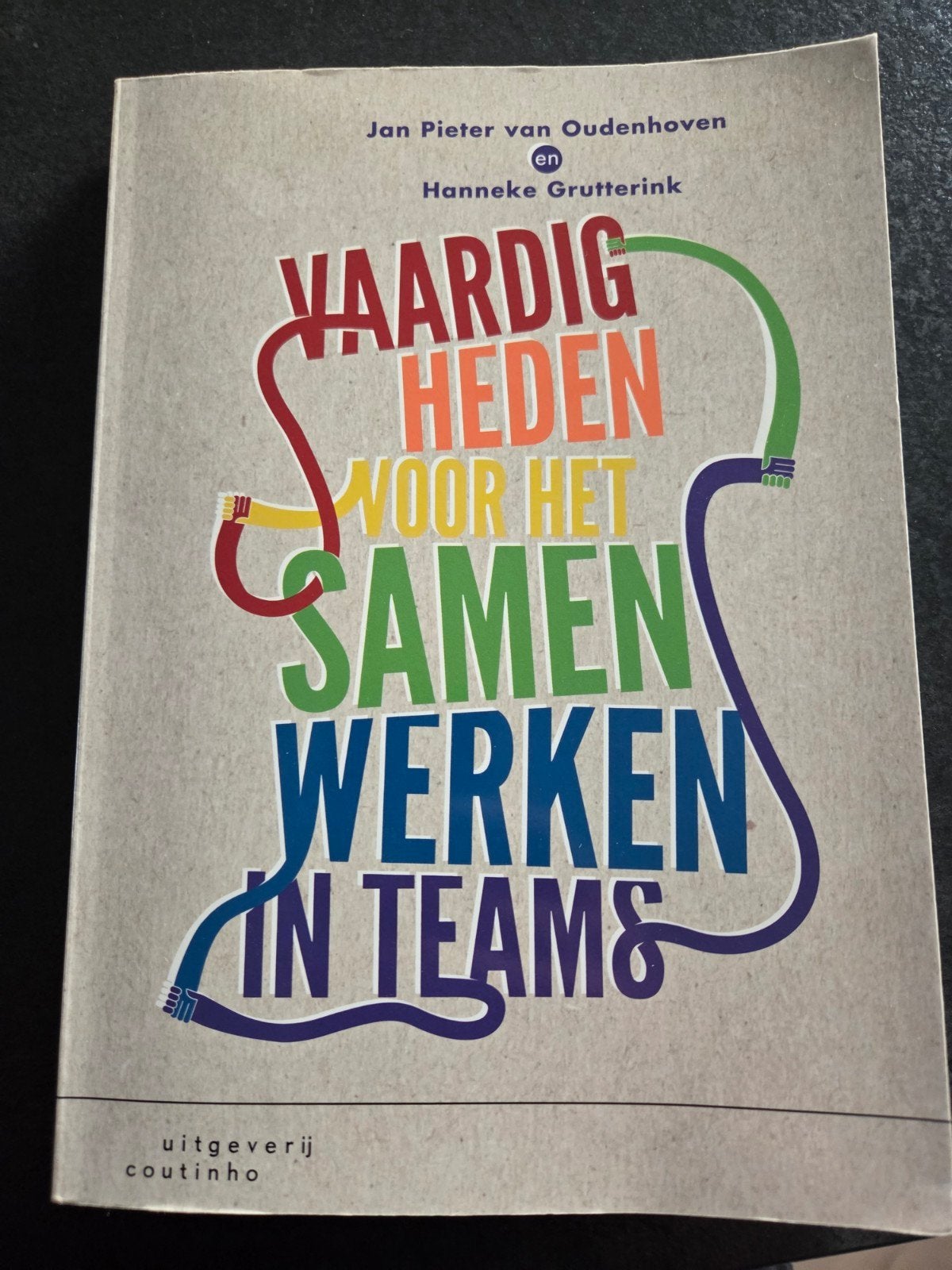 Vaardigheden voor het samenwerken in teams, Jan Pieter van Oudenhoven; Hanneke Grutterink, Sociale wetenschap, Ophalen of Verzenden