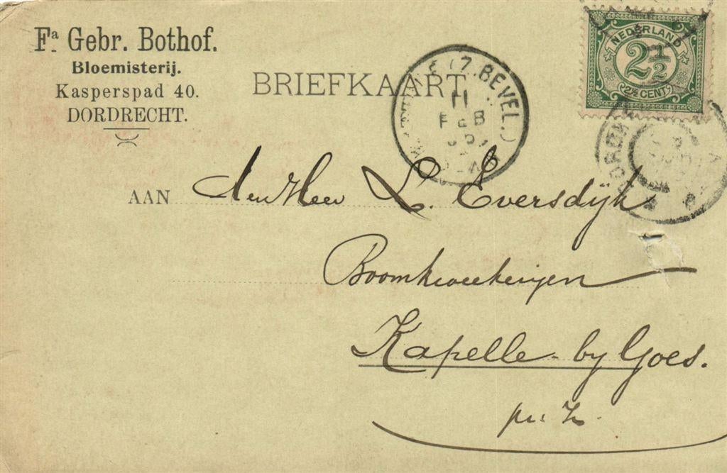 Fa. Gebr. Bothof, Bloemisterij, Dordrecht - 02.1905 - briefk, Ophalen of Verzenden, Briefkaart