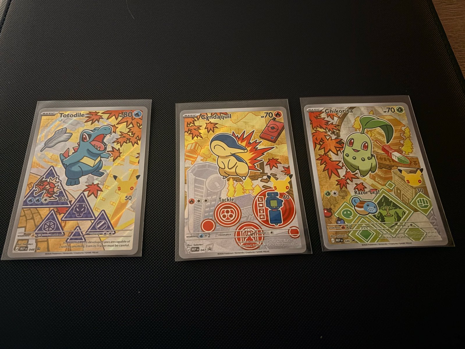Pokémon First Partner Gen 2