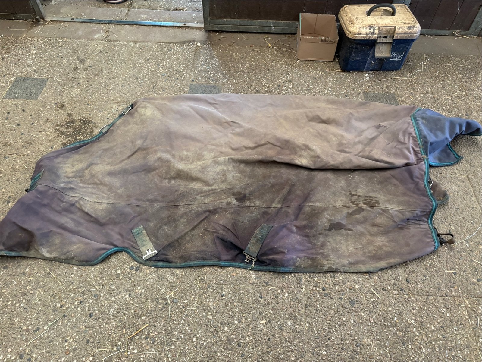 Amigo horseware deken 6.6, Dieren en Toebehoren, 100 g, Gebruikt, Ophalen of Verzenden, Dubbele borstsluiting