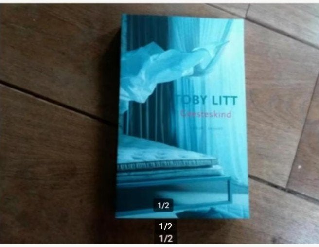 Toby Litt - Geesteskind, Boeken, Ophalen of Verzenden, Zo goed als nieuw