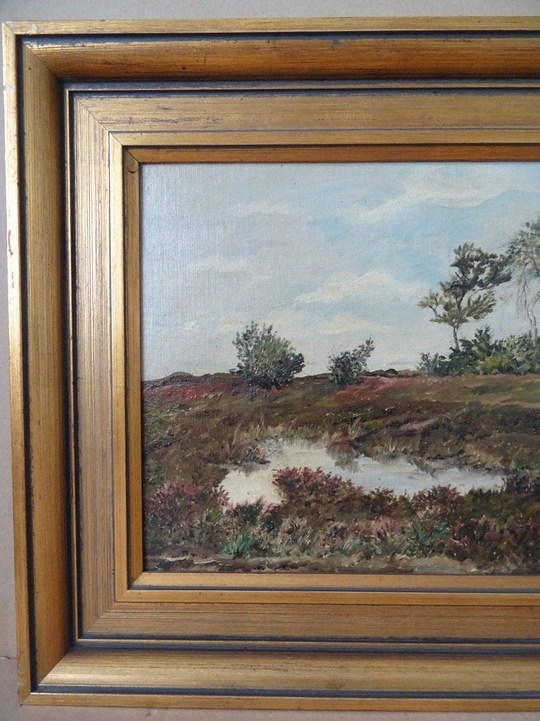 Schilderij C.J.G. Cool-Van Oosten Slingeland Heide bij Rolde, Paneel, Realistisch, Ophalen of Verzenden, Olieverf