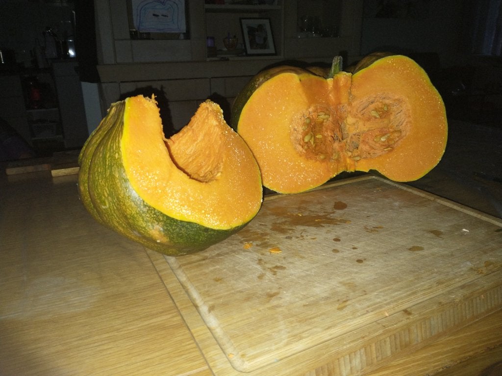 Muskaatpompoenen, Ophalen