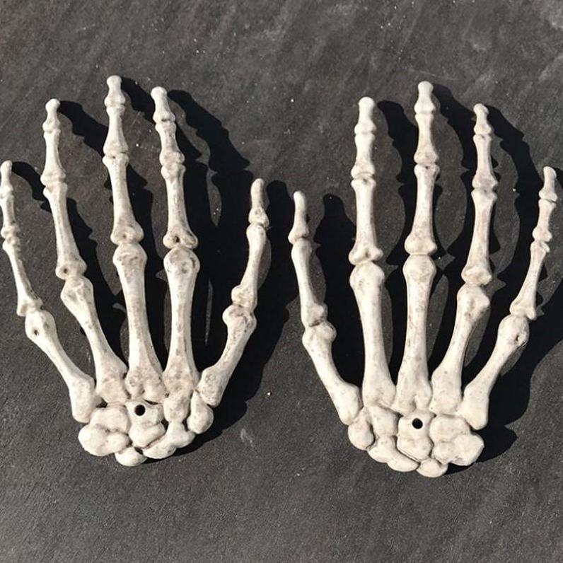 Handen Menselijk Anatomie Model / School Botten Skelet, Diversen, Verzenden, Nieuw