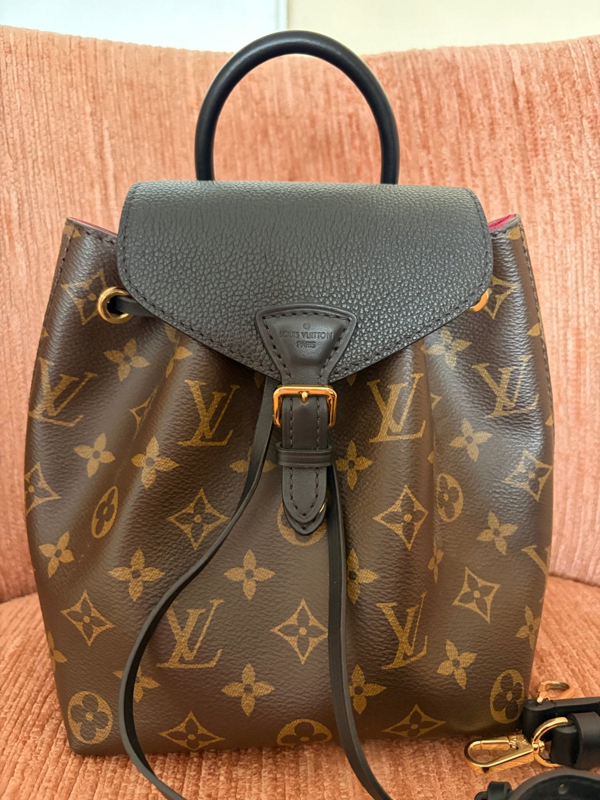 Louis Vuitton Palm Springs Mini Rugzak Monogram, Ophalen of Verzenden, Zo goed als nieuw, Bruin, Overige typen