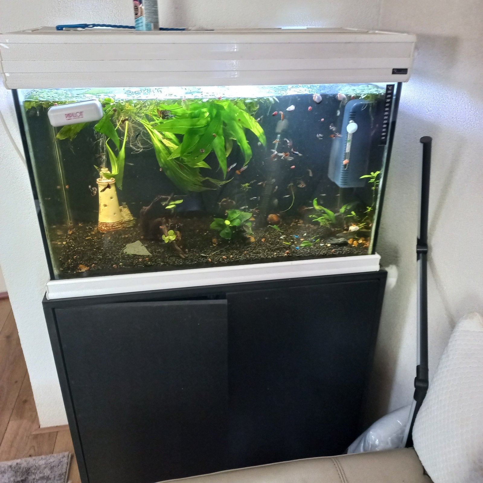 Aqualantis 80cm aquarium te koop, Dieren en Toebehoren, Vissen | Aquaria en Toebehoren, Ophalen