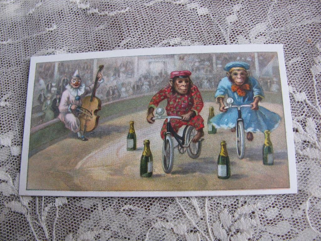 Oud Reclame Kaartje / Schoenpoets - Aap op de Fiets / Circus, Verzenden, Gebruikt, Overige typen