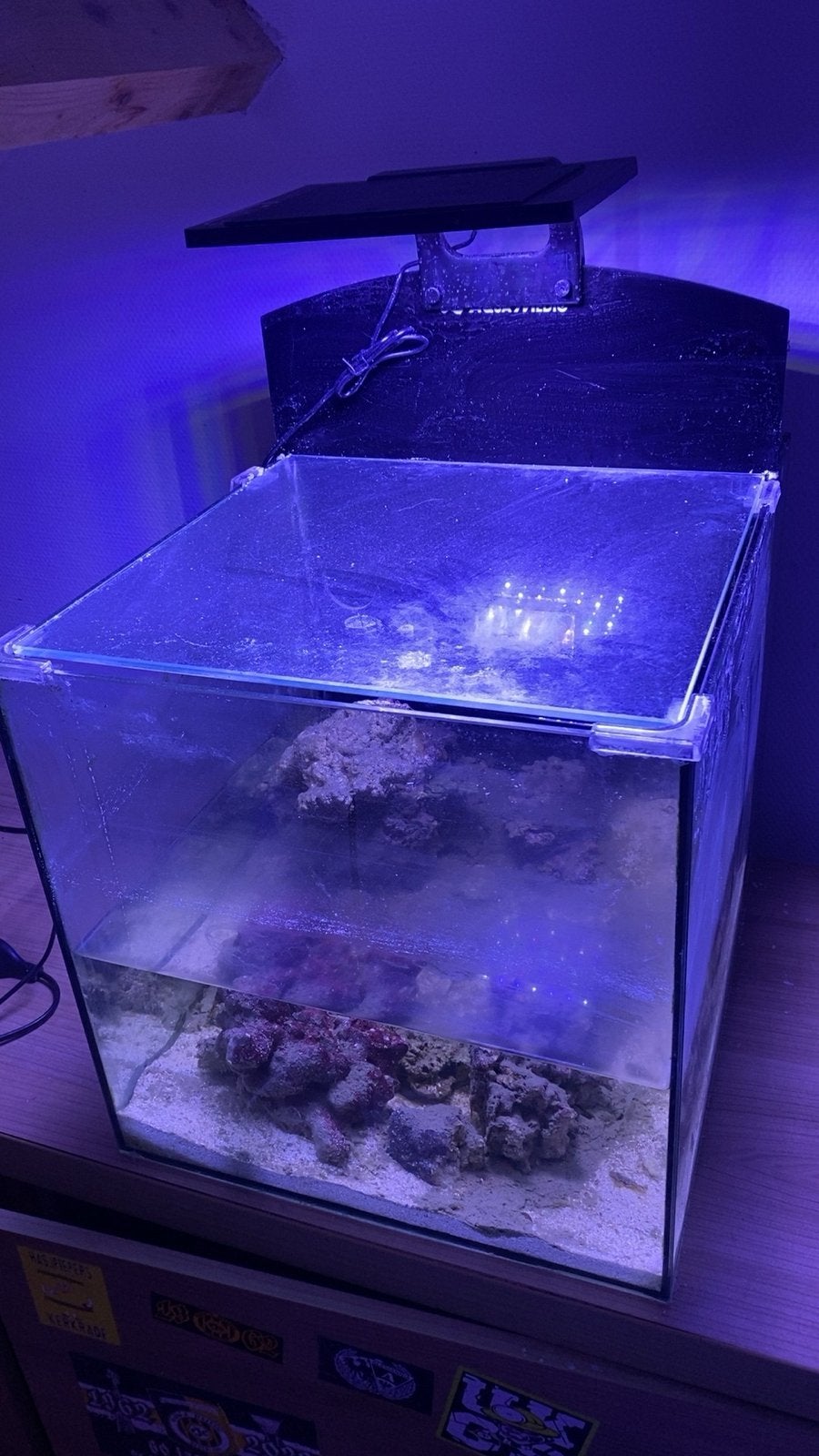 Zee aquarium 90 liter, Ophalen of Verzenden