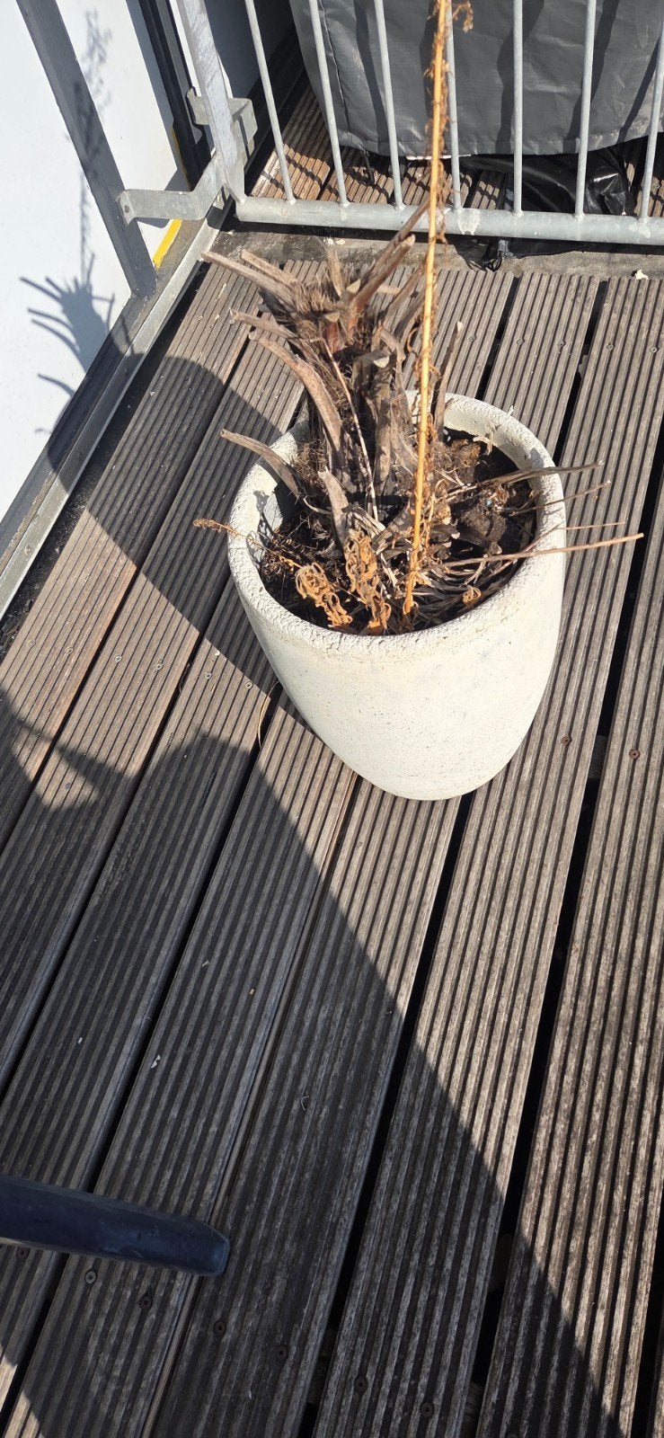 gratis plantenbakken.  3 stuks, Tuin en Terras, Ophalen, Kunststof, Gebruikt, Minder dan 30 cm