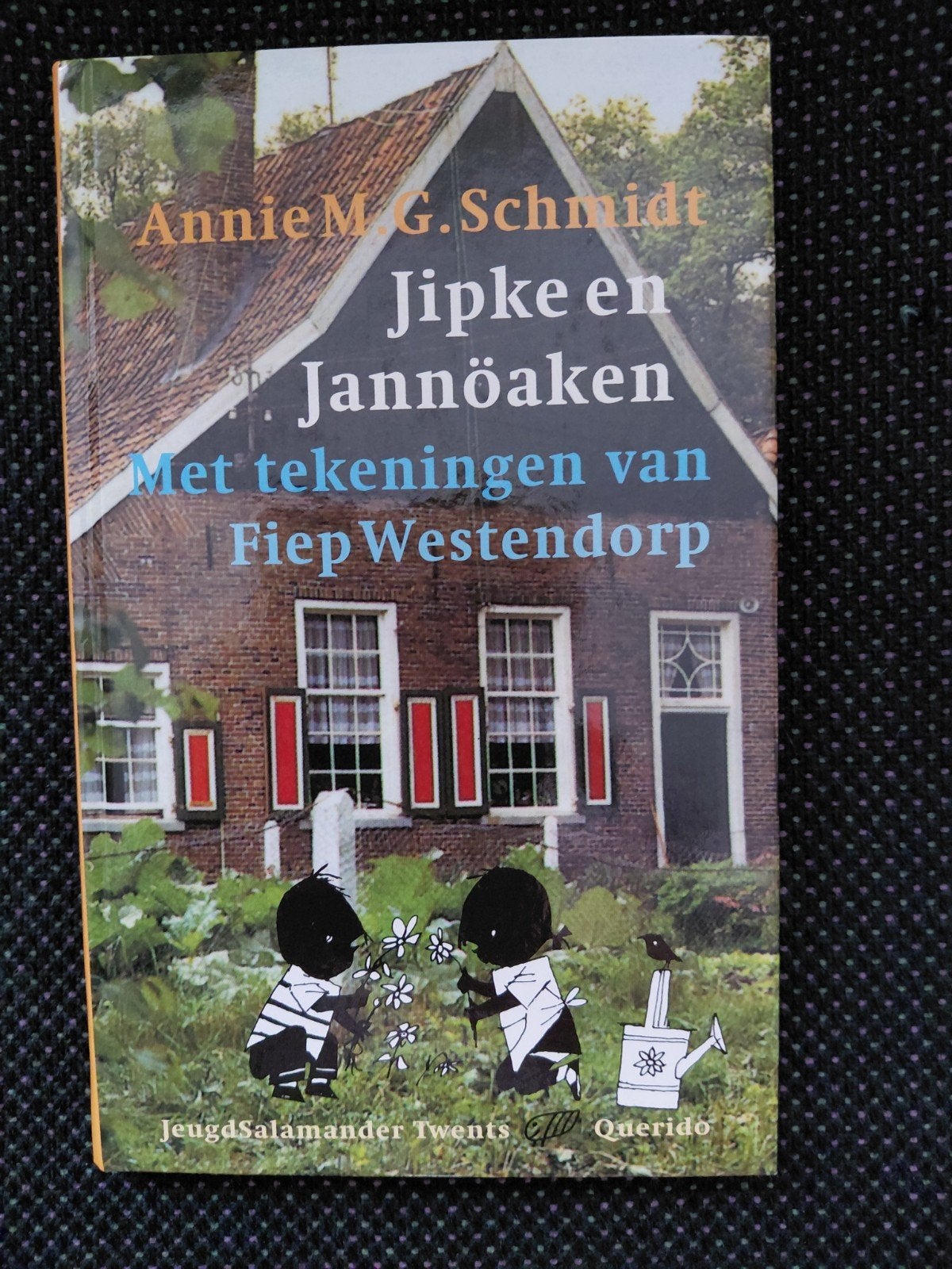 Annie M.G. Schmidt - Twentse editie jij en janneke, Ophalen of Verzenden, Zo goed als nieuw, Annie M.G. Schmidt