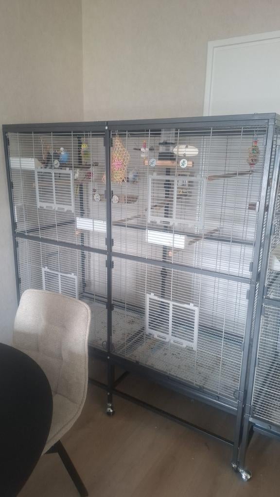 Vogelkooi montana paradiso 150, Ophalen, Zo goed als nieuw, Metaal, Vogelkooi