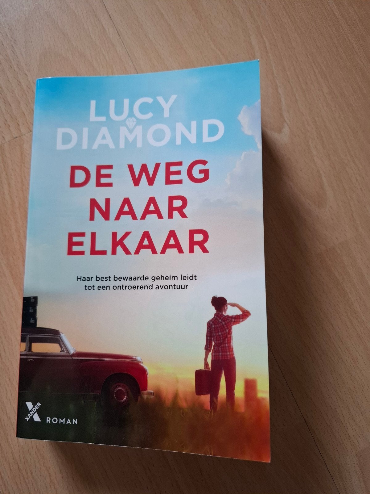 Lucy diamond de weg naar elkaar, Boeken, Ophalen of Verzenden, Zo goed als nieuw