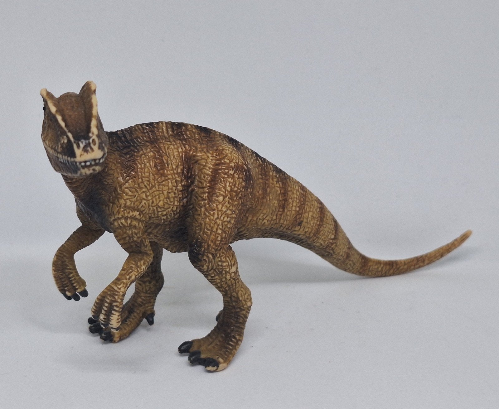 Schleich Allosaurus Dinosaurus 14512, Ophalen of Verzenden, Zo goed als nieuw