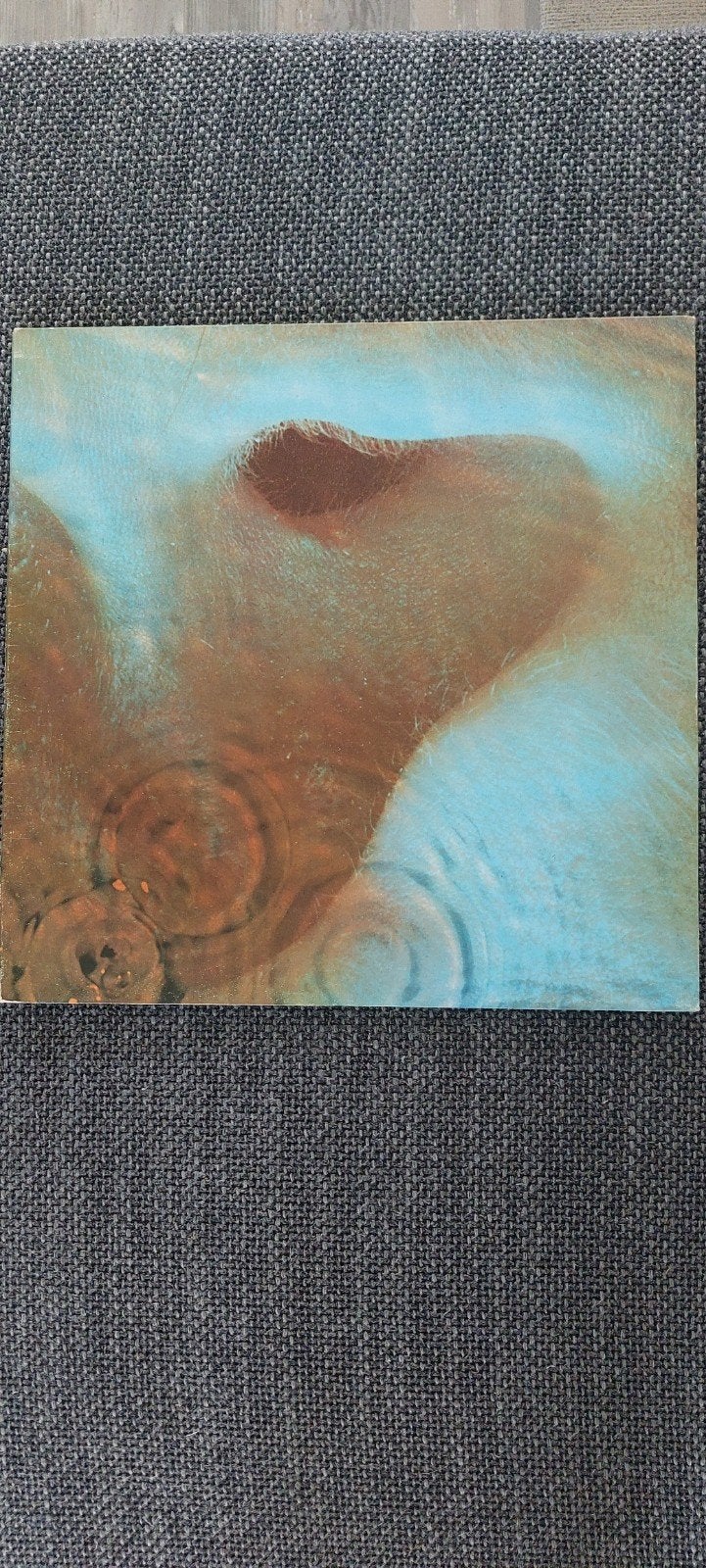 Pink Floyd - Meddle LP (1971) - Classic Rock Vinyl, Cd's en Dvd's, LP, Originele persing, Ophalen of Verzenden, 12 inch