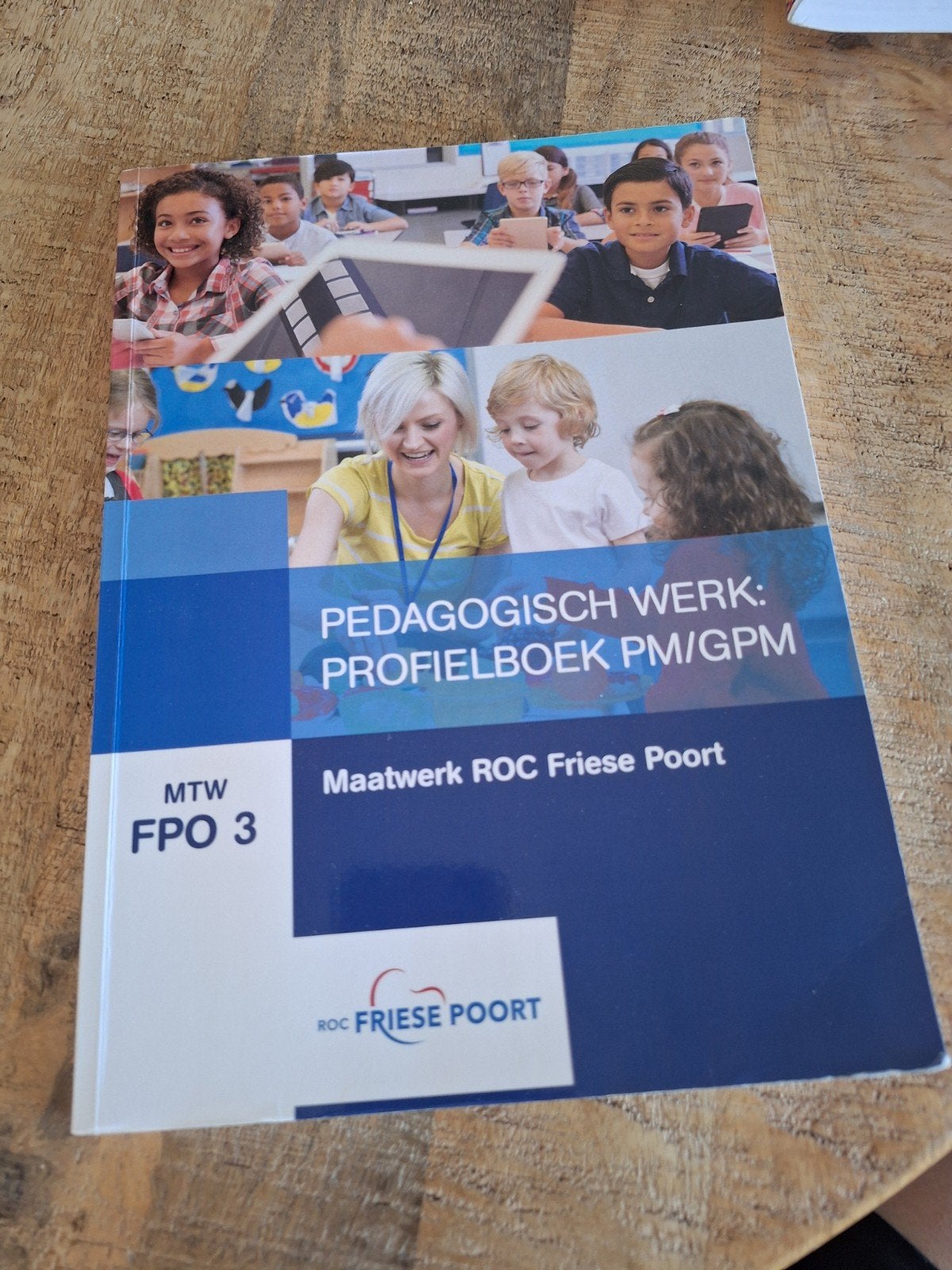 Pedagogish werk: profielboek PM/PGM, Boeken, Ophalen of Verzenden, Zo goed als nieuw, Overige niveaus, Nederlands