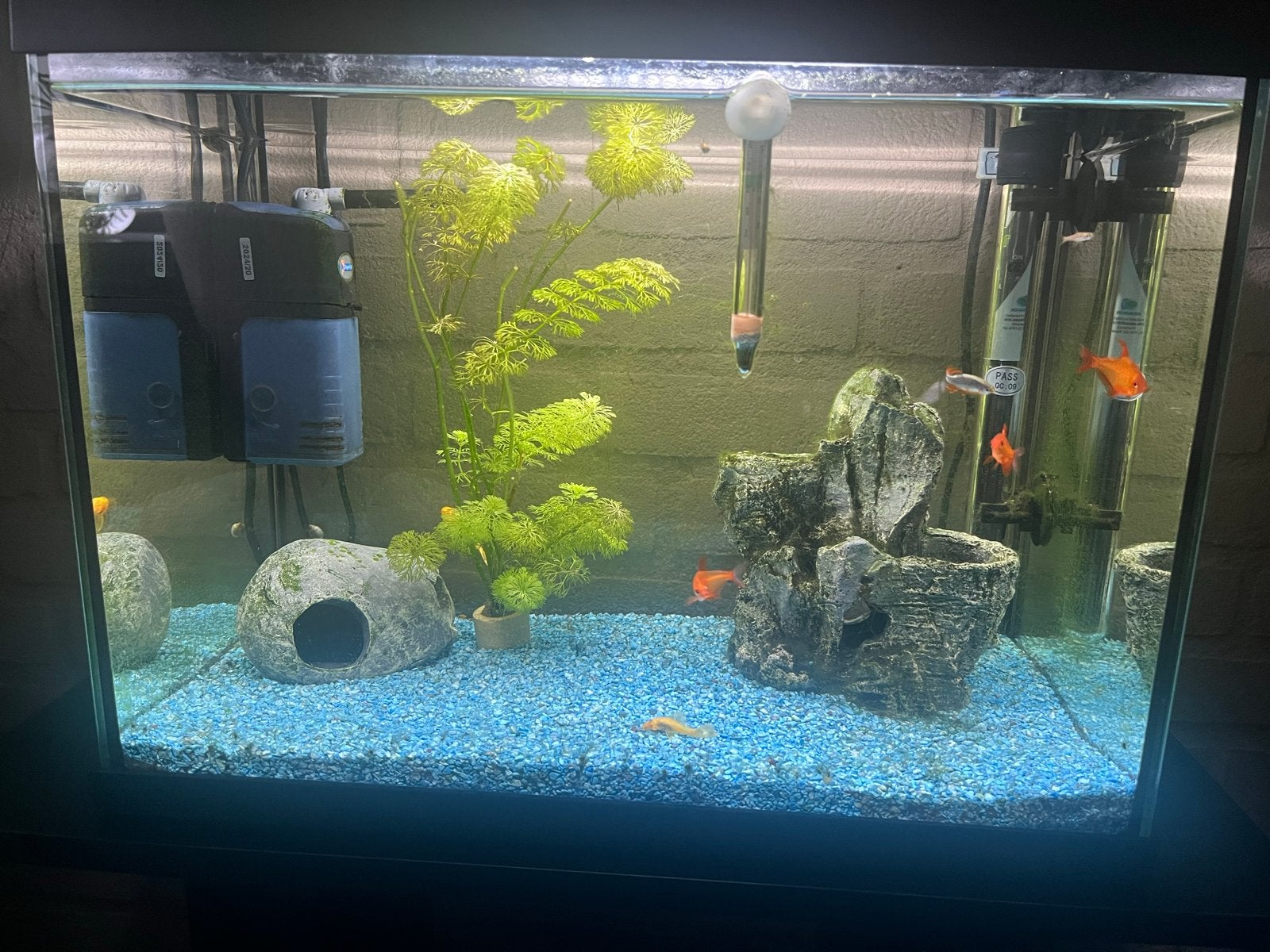 Aquarium inclusief vissen, Ophalen, Verwarming, Gebruikt, Gevuld zoetwateraquarium