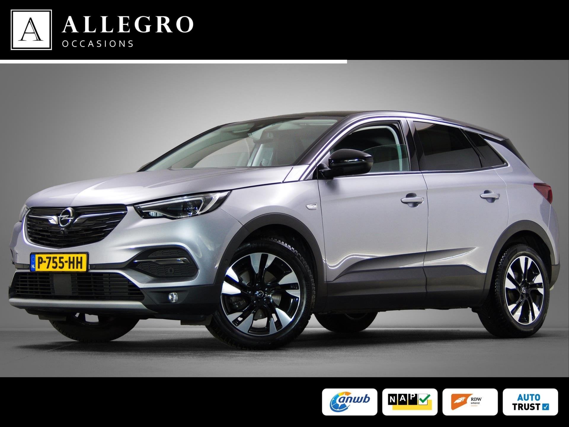 Opel Grandland X 1.2 Turbo Business Elegance (APPLE CARPLAY, Gebruikt, 1199 cc, Leder en Stof, Origineel Nederlands