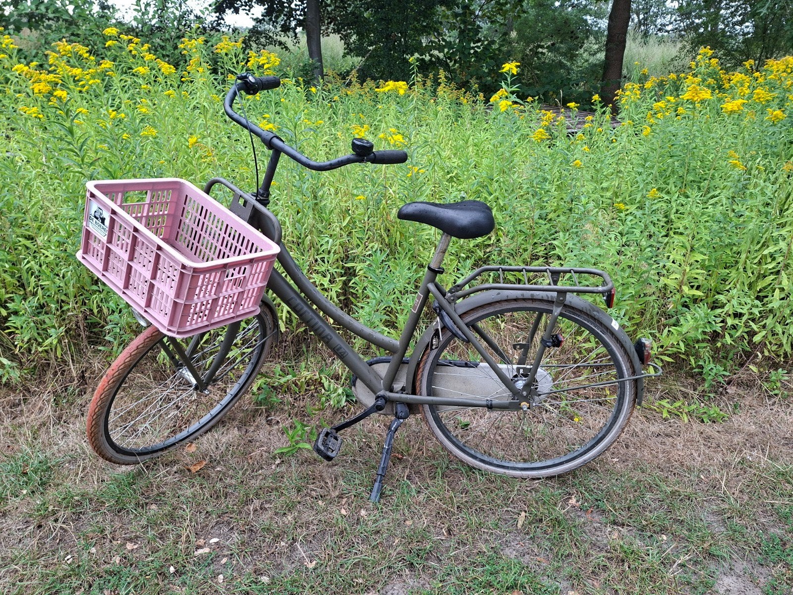 Cortina Transportfiets meisjes - Inclusief Roze Mand, Overige merken, Terugtraprem, Gebruikt, Versnellingen