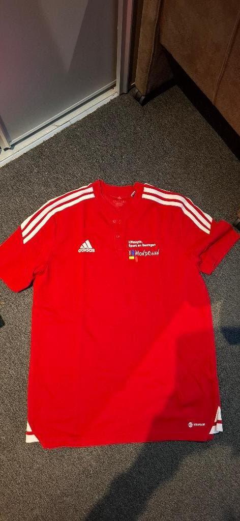 Sportshirt Adidas, Maat 48/50 (M), Ophalen of Verzenden, Zo goed als nieuw, Adidas