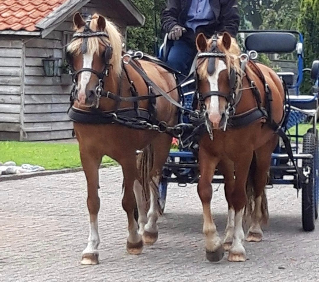 Tweespan ponytuig (compleet nylon), Ophalen